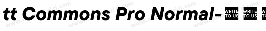 tt Commons Pro Normal字体转换